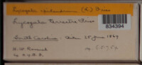 Image Associated With the Occurence